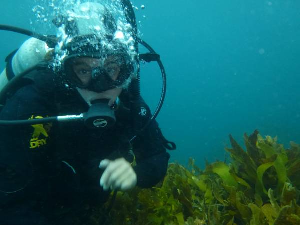 Alix diving on Kapiti