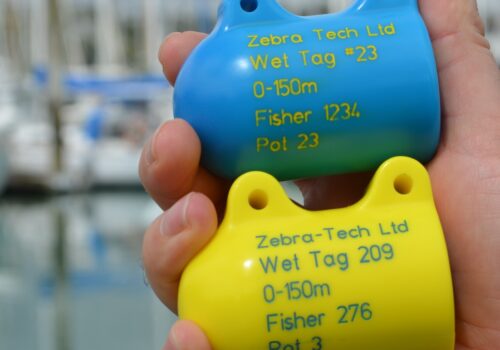 Blue and Yellow Wet tags together square mid